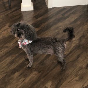 Meet your Posher, Cynthia